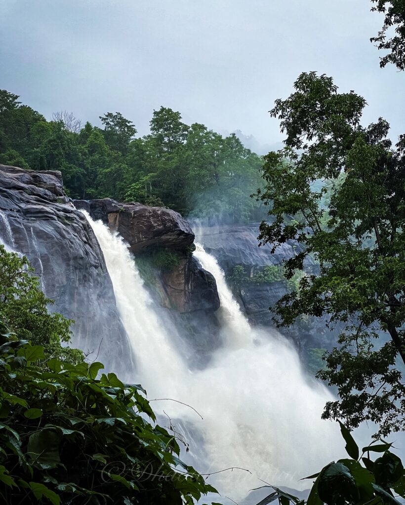 Beautiful frame of Athirappilly waterfall through lush green plants.