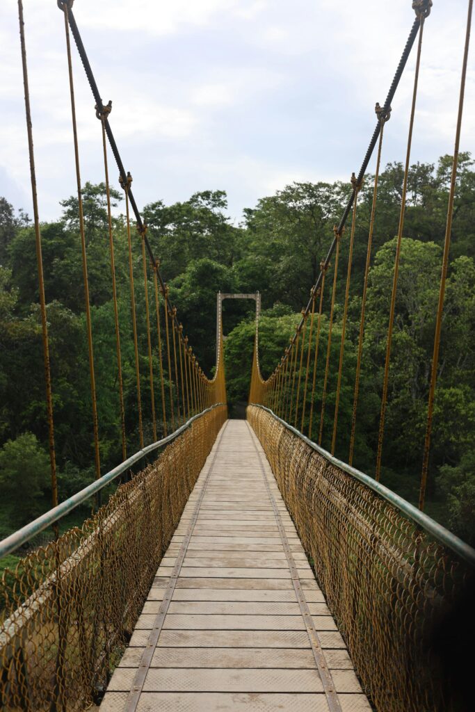 Suspension bridge over green forest with wooden planks and ropes, tranquil and scenic.